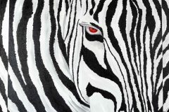 Can You See Me Now? -24x30-acrylic on canvas-Regina Petrecca