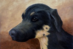 Ruby of Oak Hill-16x20-acrylic on canvas-Regina Petrecca