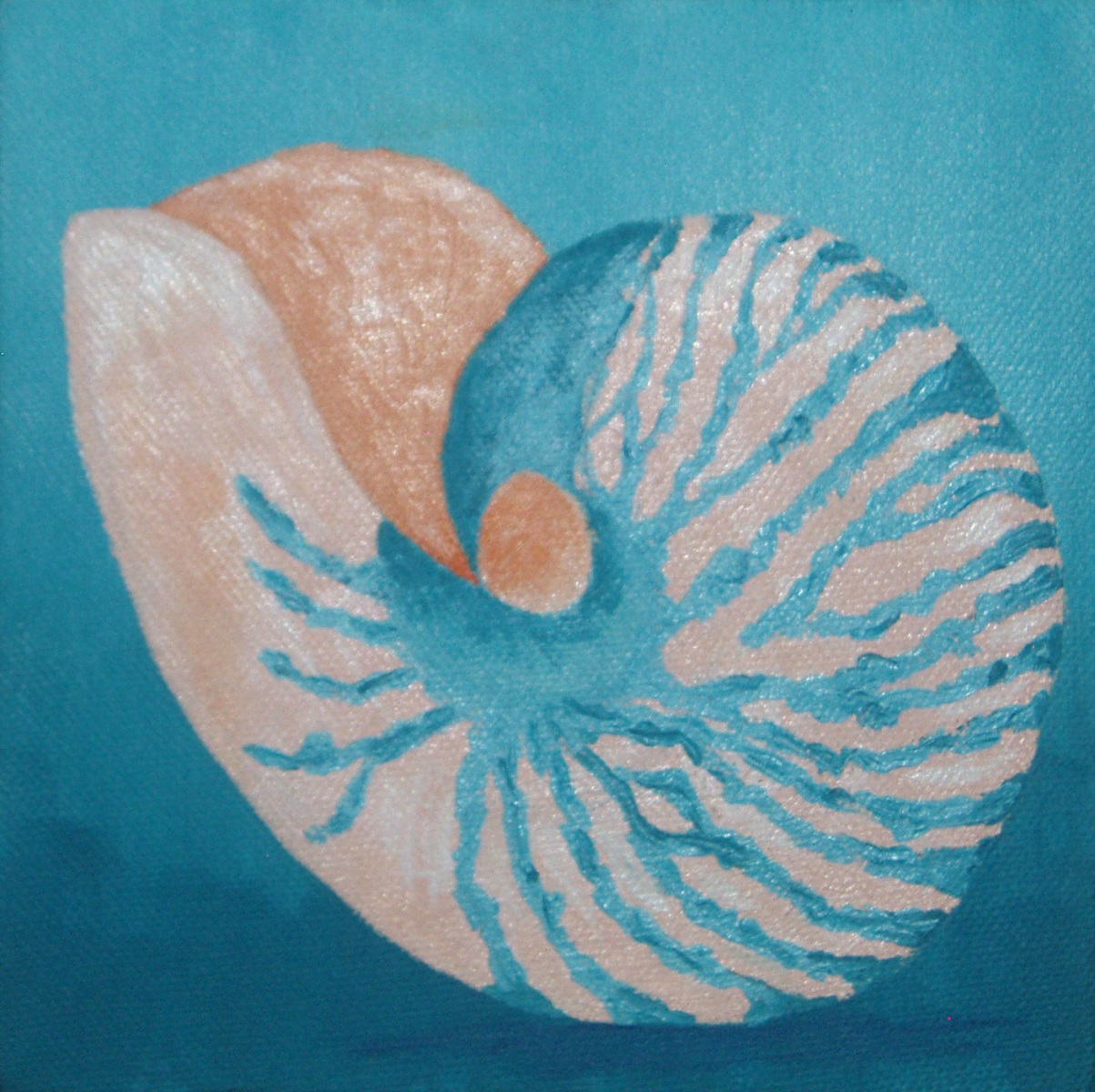 Nautilus-6x6-acrylic on canvas-Regina Petrecca