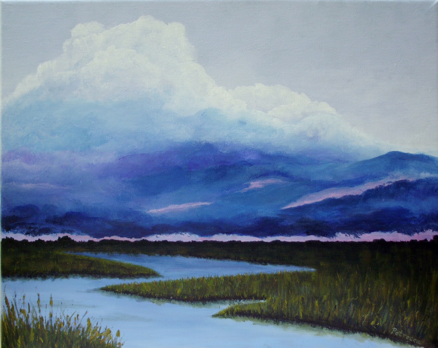 The Marsh-16x20-acrylic on canvas-Regina Petrecca