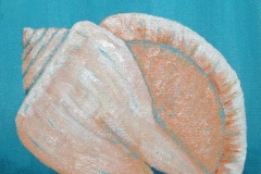 Conch-6x6-acrylic on canvas-Regina Petrecca