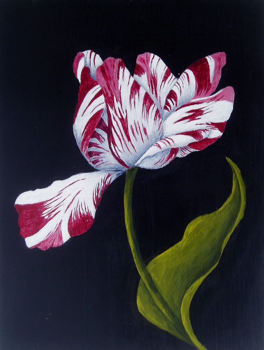 Parrot Tulip I - 9x12-acrylic on canvas-Regina Petrecca