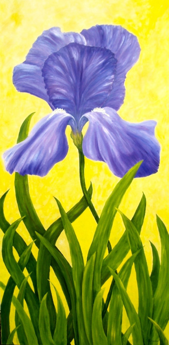 Purple Flag-24x48-oil on canvas-Regina Petrecca