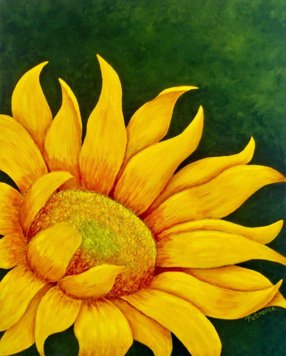 Sun Seekeer-16x20-acrylic on canvas-Regina Petrecca