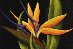 Bird of Paradise, Squared-10x10-acrylic on canvas-Regina Petrecca