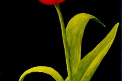 Monarch Tulip-10x20-acrylic on canvas-Regina Petrecca