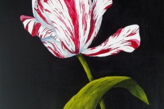 Parrot Tulip II-9x12-acrylic on canvas-Regina Petrecca