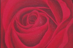 by any other name-16x20-acrylic on canvas-Regina Petrecca
