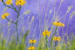 Stormy Meadow-24x48-oil on canvas-Regina Petrecca